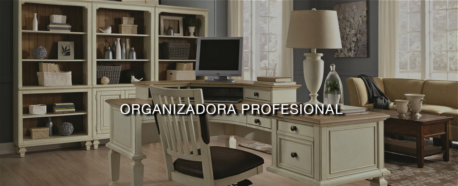 Organizadora Profesional